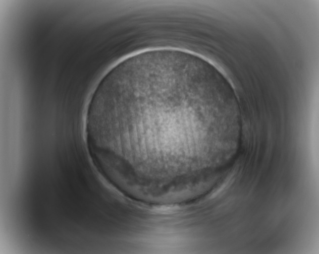 X0000088181535200705291942