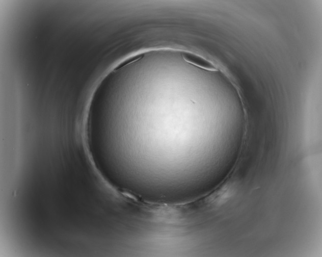 X0000088181536200705291942