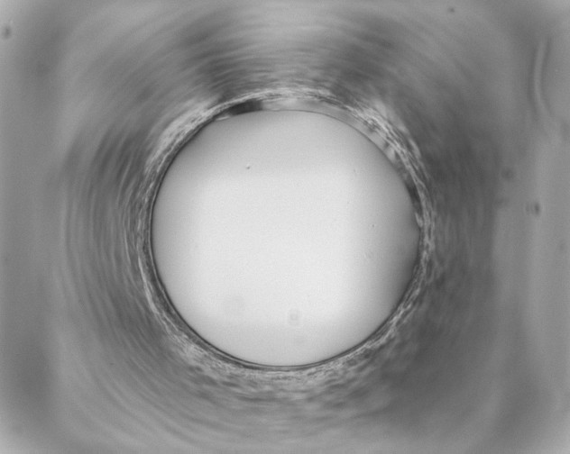 X0000088180001200706051153