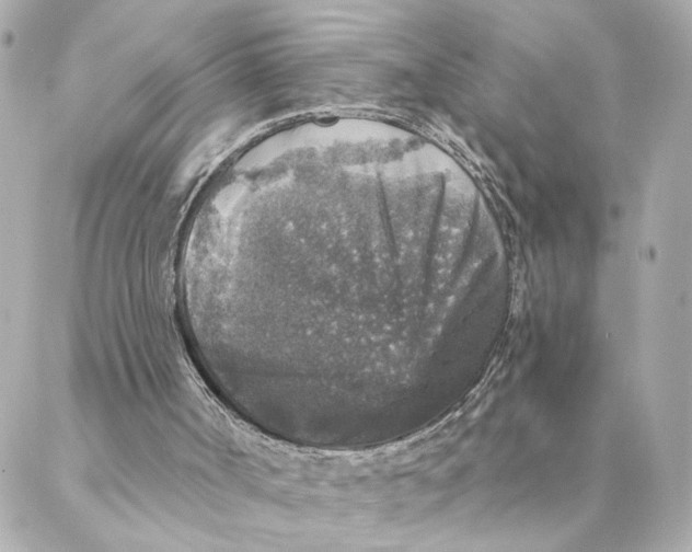 X0000088180002200706051153