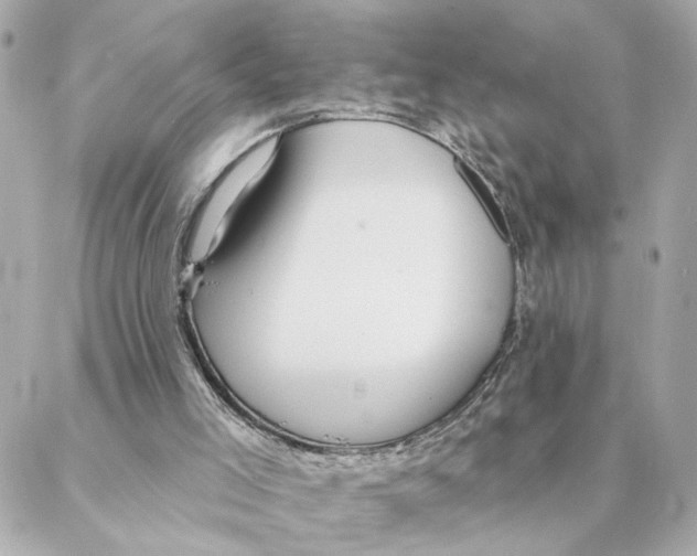 X0000088180005200706051153