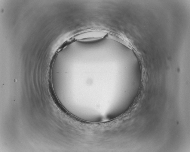 X0000088180007200706051153