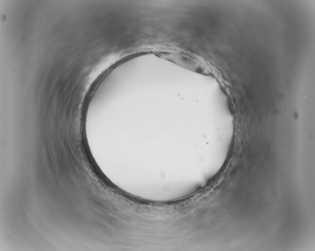 X0000088180008200706051153