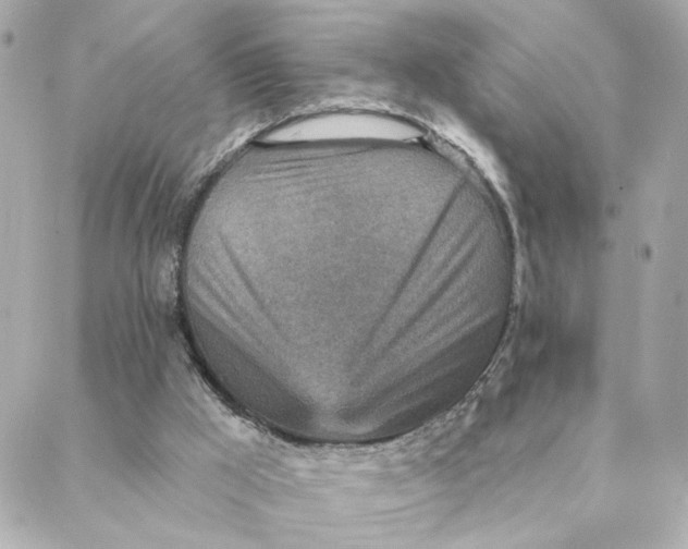 X0000088180009200706051153