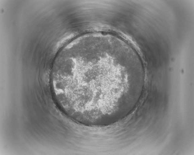 X0000088180010200706051153