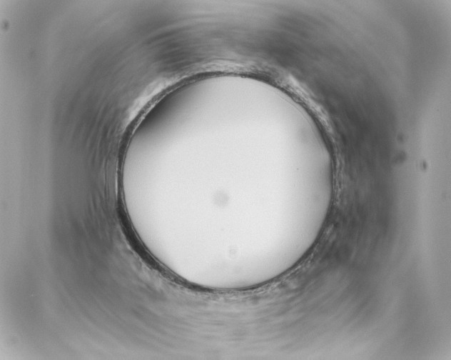 X0000088180011200706051153