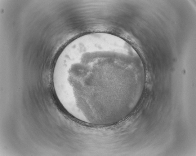 X0000088180012200706051153