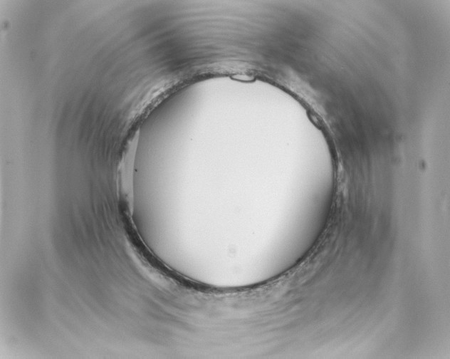 X0000088180013200706051153