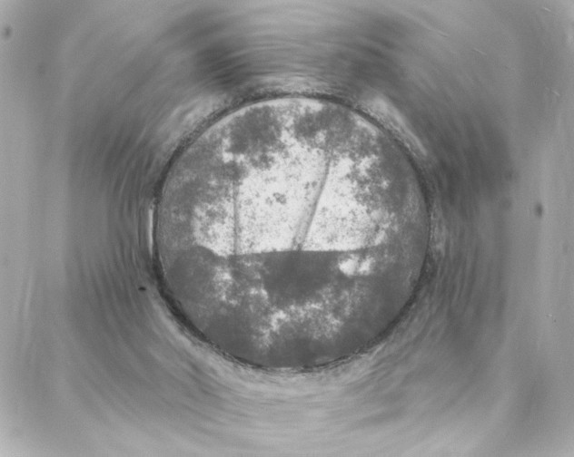 X0000088180014200706051153