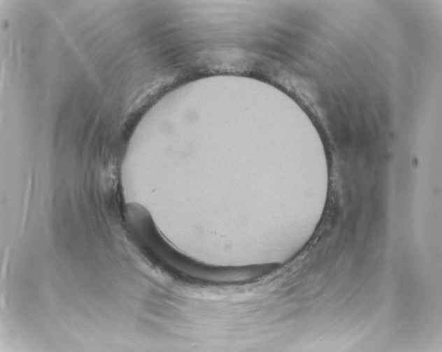 X0000088180017200706051153