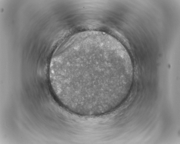 X0000088180018200706051153