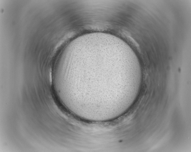 X0000088180020200706051153