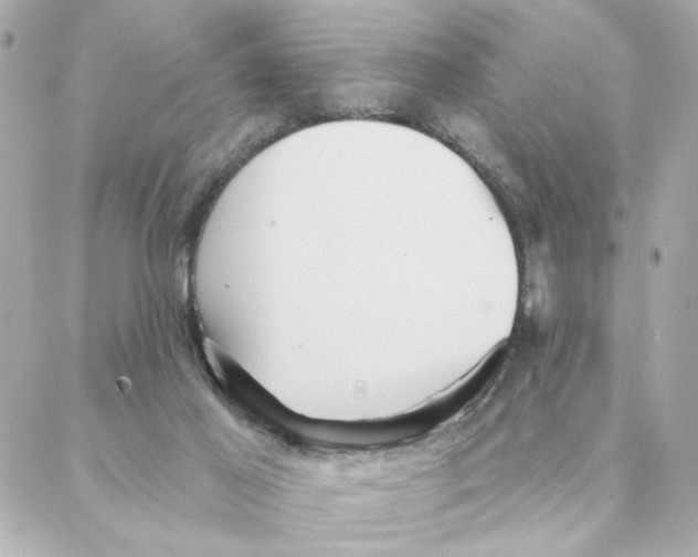 X0000088180021200706051153