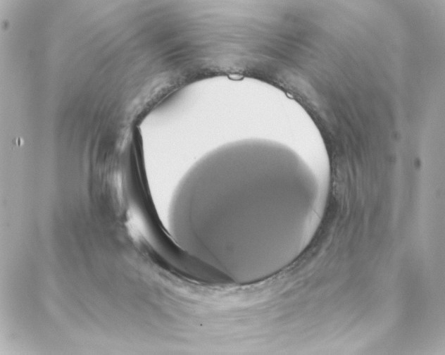 X0000088180023200706051153