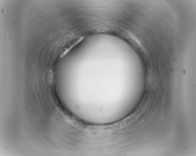 X0000088180025200706051153