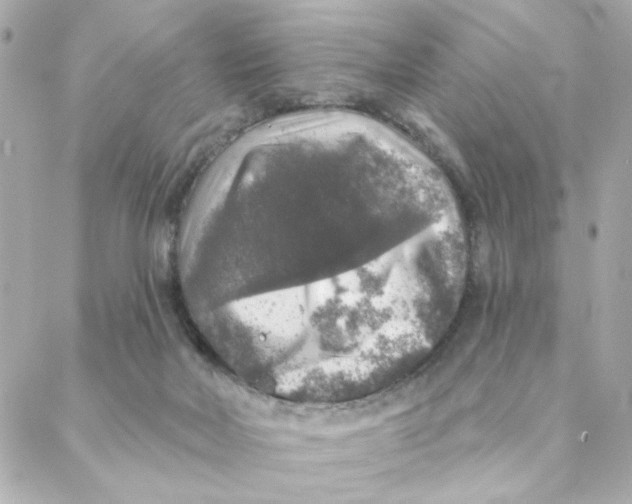 X0000088180026200706051153