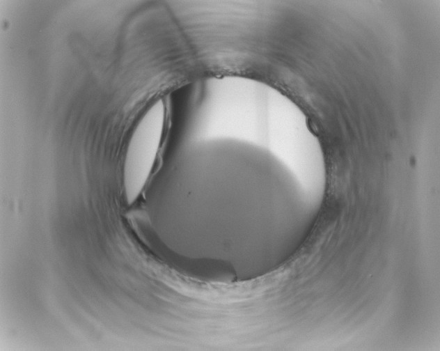 X0000088180027200706051153