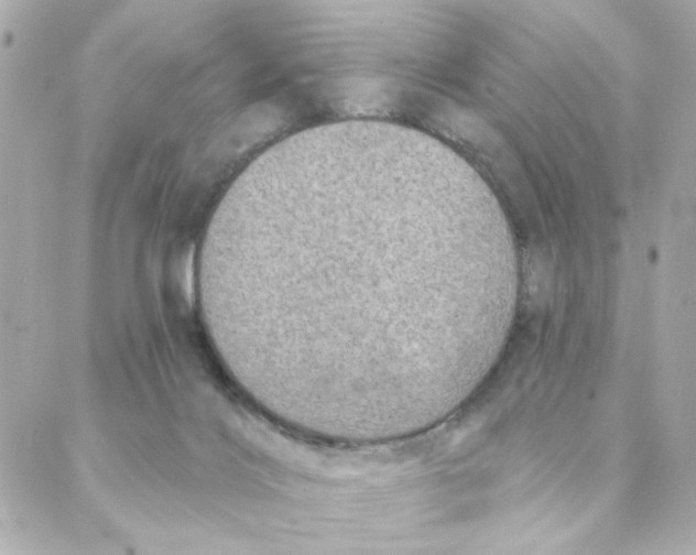 X0000088180028200706051153