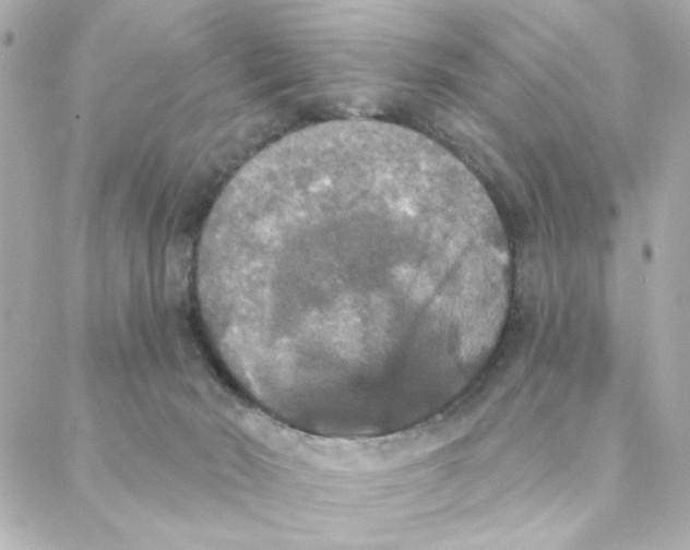 X0000088180030200706051153