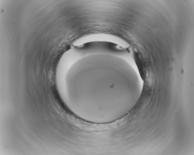 X0000088180031200706051153