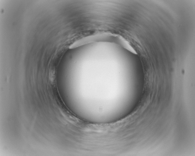 X0000088180033200706051153