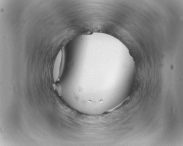 X0000088180037200706051153