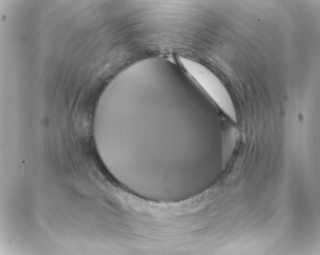 X0000088180039200706051153