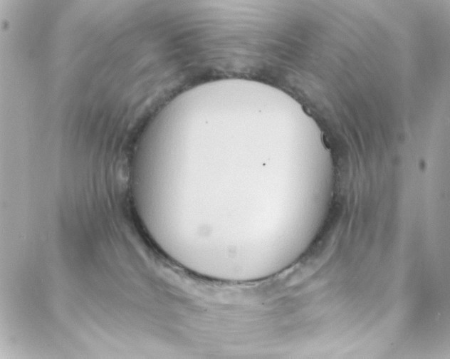 X0000088180040200706051153