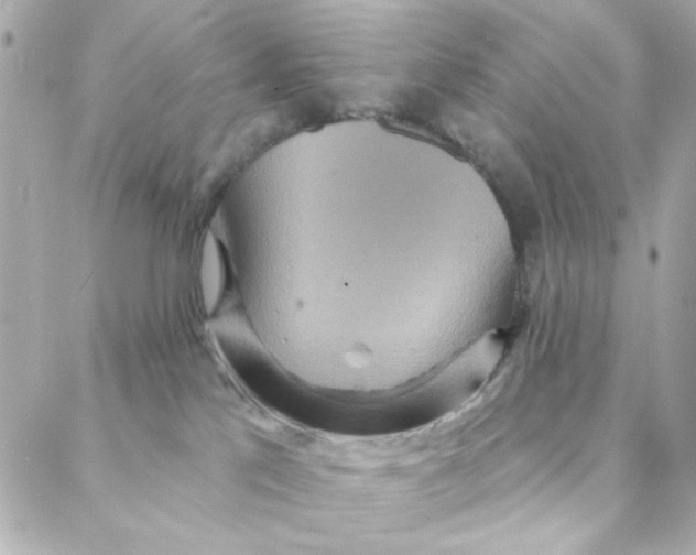 X0000088180041200706051153