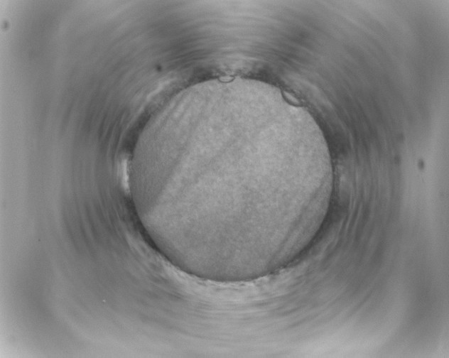 X0000088180042200706051153