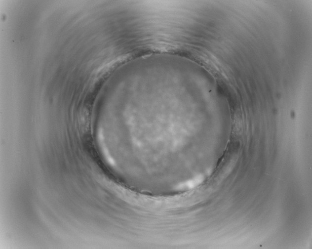 X0000088180043200706051152