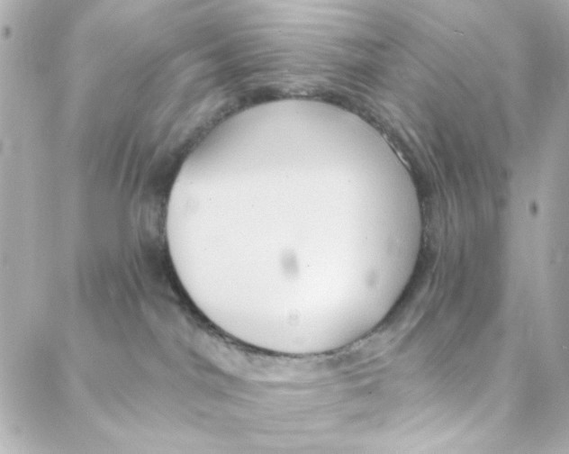 X0000088180044200706051152