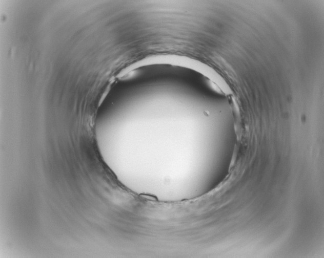 X0000088180045200706051152