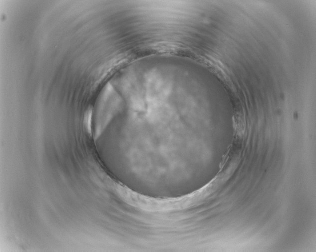 X0000088180047200706051152