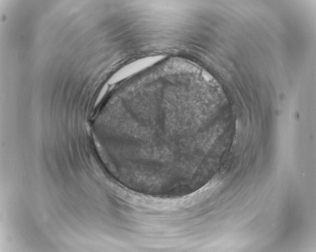 X0000088180048200706051152