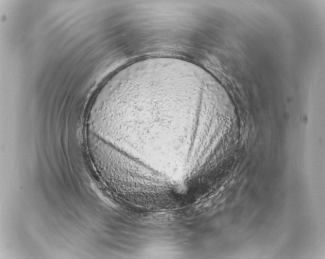 X0000088180050200706051152