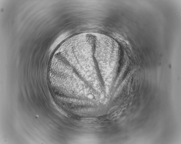 X0000088180051200706051152