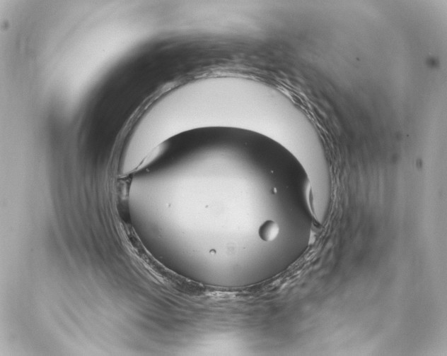 X0000088180052200706051152