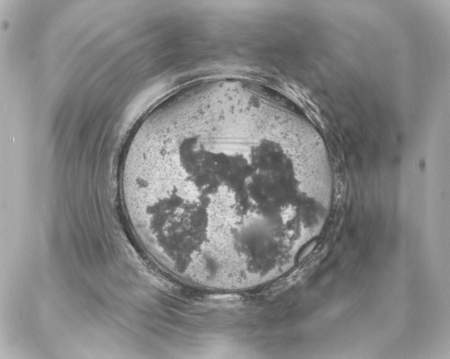 X0000088180053200706051152