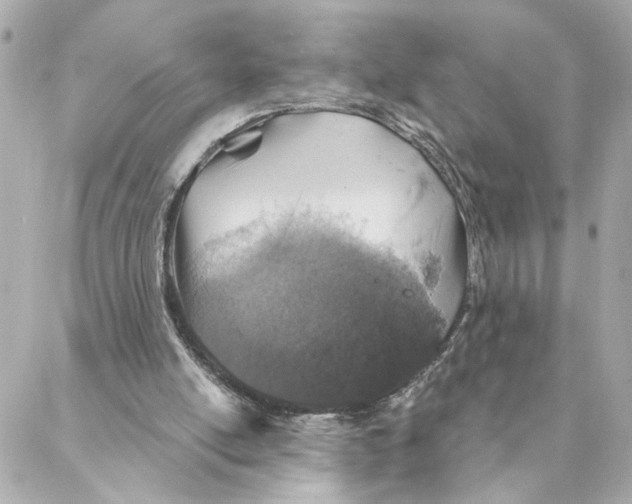 X0000088180054200706051152