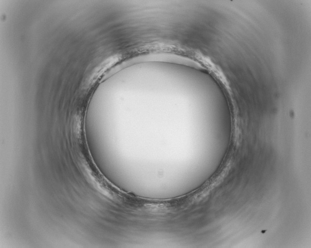 X0000088180057200706051152