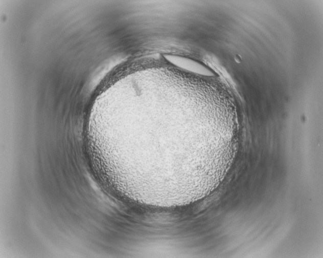 X0000088180058200706051152