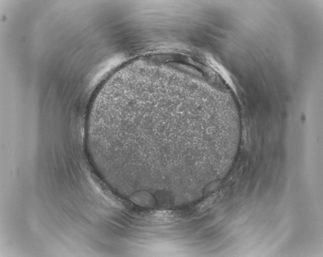 X0000088180059200706051152