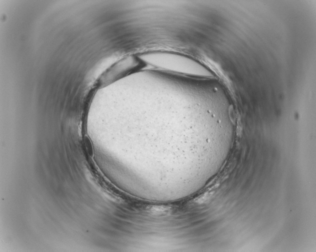 X0000088180060200706051152