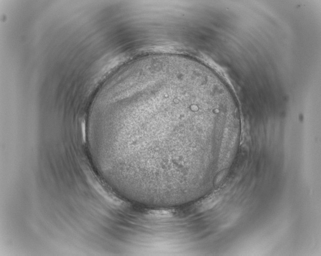 X0000088180061200706051152