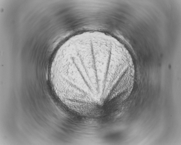 X0000088180062200706051152