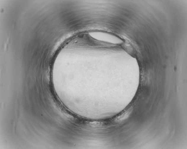 X0000088180064200706051152