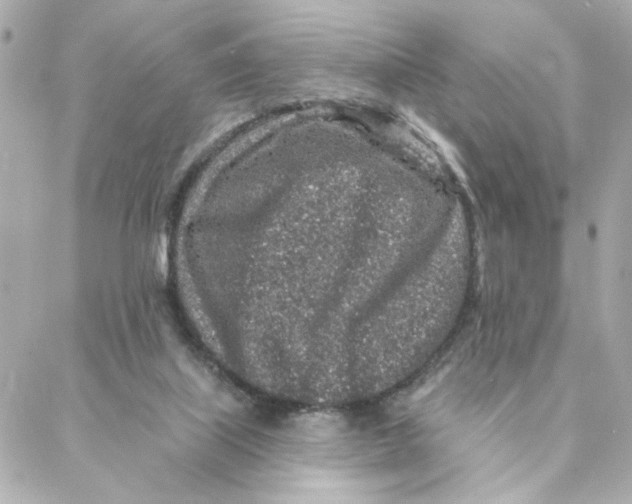 X0000088180067200706051152