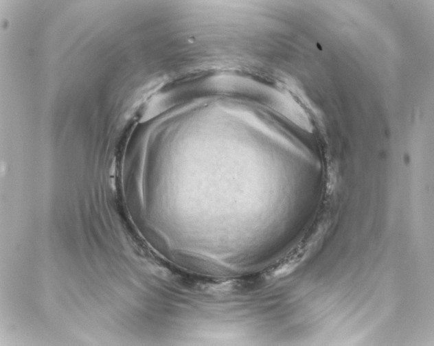 X0000088180068200706051152