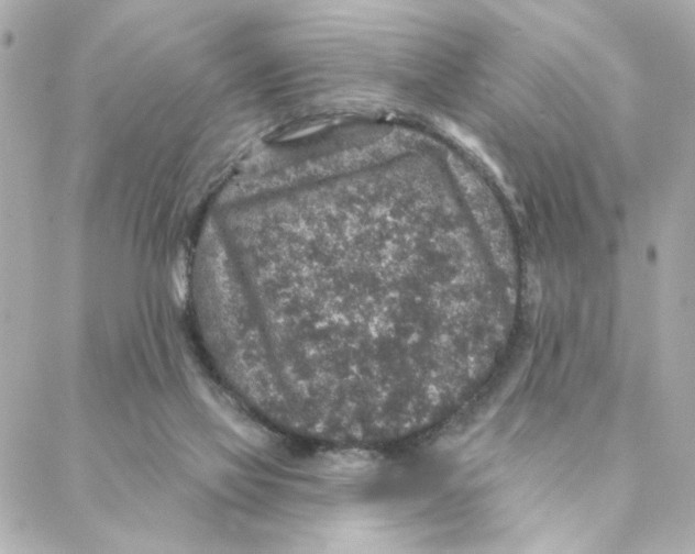 X0000088180069200706051152